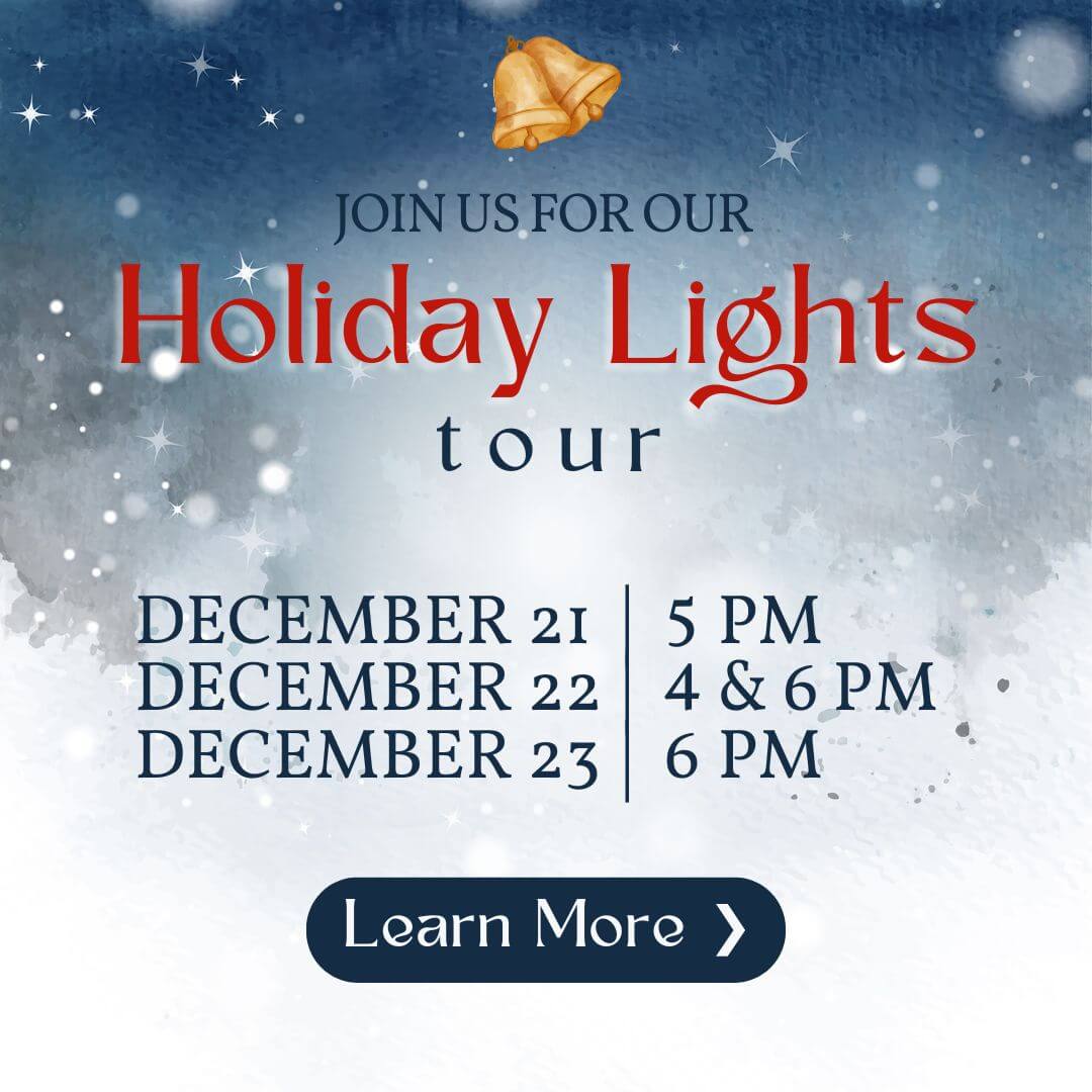 Holiday Lights Tour Promo